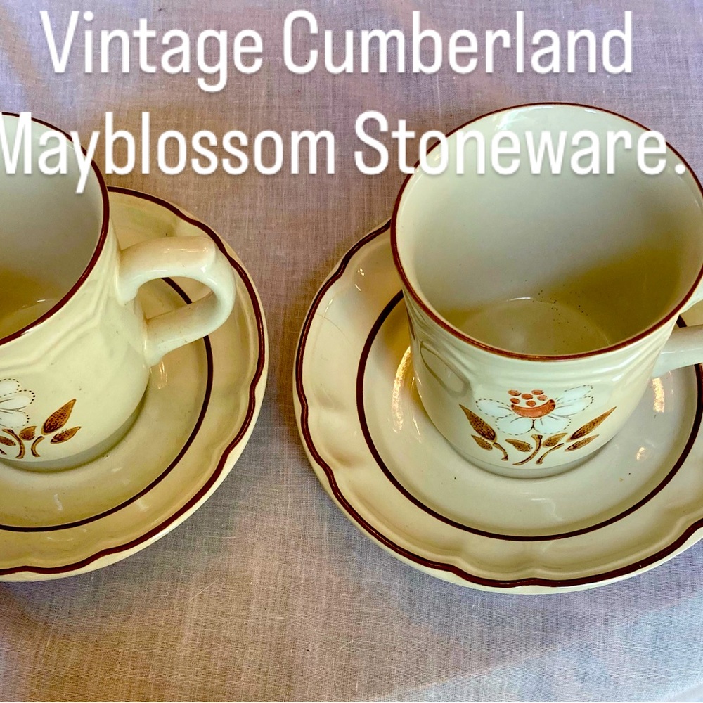 Vintage Cumberland Mayblossom Stoneware Cup and Saucer Set - Cream and Brown
